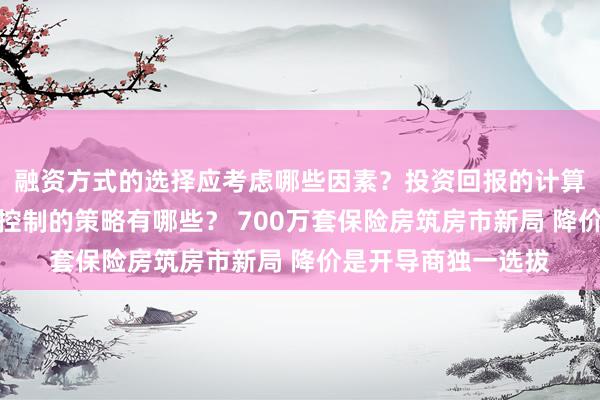 融资方式的选择应考虑哪些因素？投资回报的计算方法是什么？风险控制的策略有哪些？ 700万套保险房筑房市新局 降价是开导商独一选拔