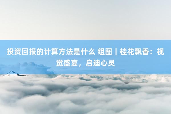 投资回报的计算方法是什么 组图｜桂花飘香：视觉盛宴，启迪心灵