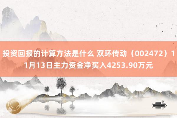 投资回报的计算方法是什么 双环传动（002472）11月13日主力资金净买入4253.90万元