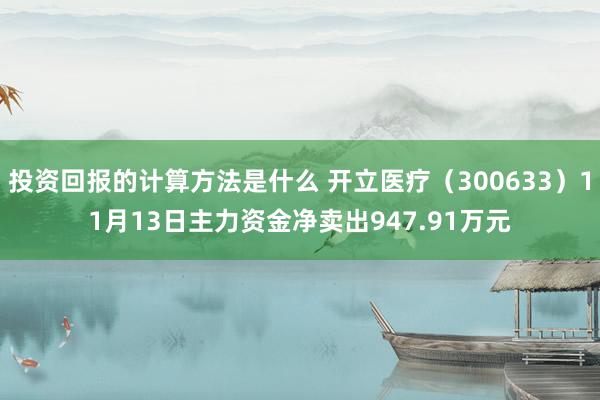 投资回报的计算方法是什么 开立医疗（300633）11月13日主力资金净卖出947.91万元