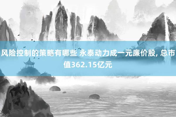 风险控制的策略有哪些 永泰动力成一元廉价股, 总市值362.15亿元