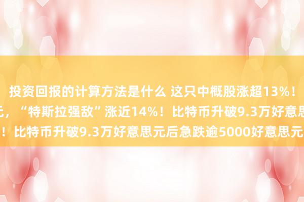 投资回报的计算方法是什么 这只中概股涨超13%！大家豪掷58亿好意思元，“特斯拉强敌”涨近14%！比特币升破9.3万好意思元后急跌逾5000好意思元