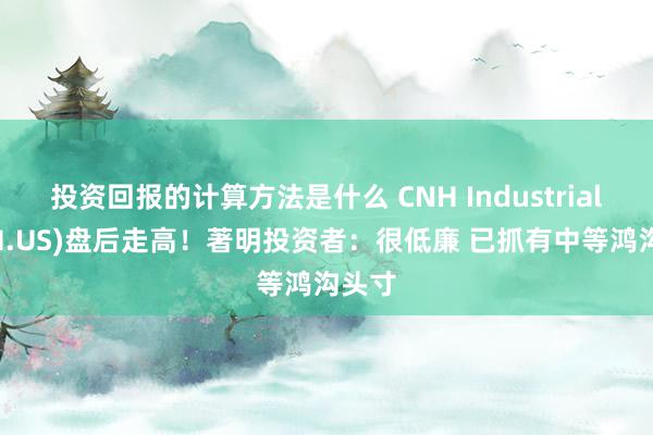 投资回报的计算方法是什么 CNH Industrial(CNH.US)盘后走高！著明投资者：很低廉 已抓有中等鸿沟头寸