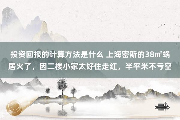 投资回报的计算方法是什么 上海密斯的38㎡蜗居火了，因二楼小家太好住走红，半平米不亏空