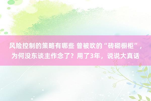 风险控制的策略有哪些 曾被吹的“砖砌橱柜”，为何没东谈主作念了？用了3年，说说大真话