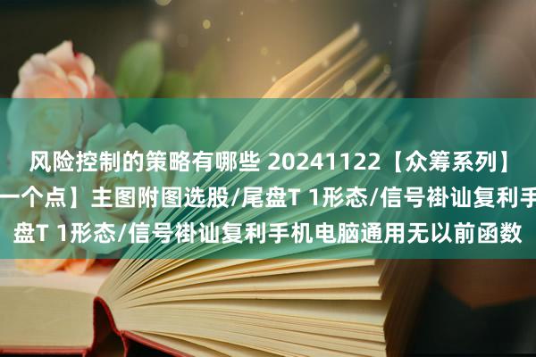 风险控制的策略有哪些 20241122【众筹系列】2024-61期【每次复利一个点】主图附图选股/尾盘T 1形态/信号褂讪复利手机电脑通用无以前函数