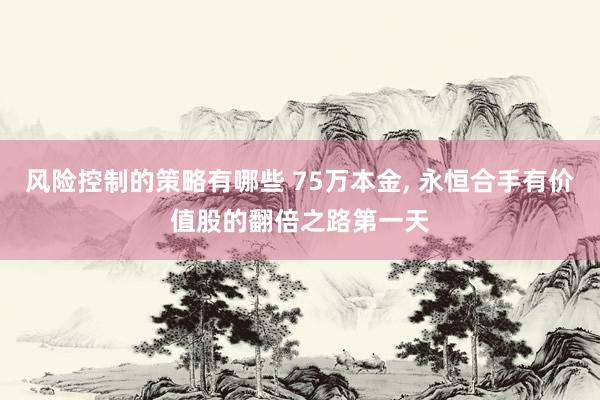 风险控制的策略有哪些 75万本金, 永恒合手有价值股的翻倍之路第一天