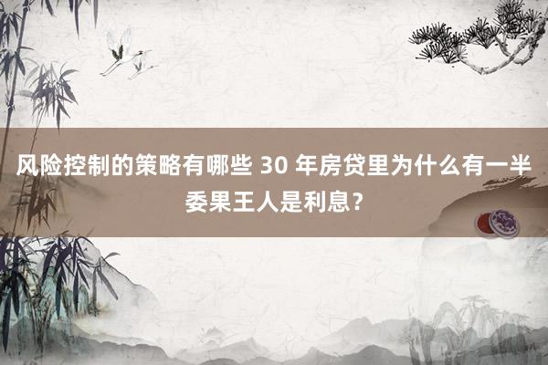 风险控制的策略有哪些 30 年房贷里为什么有一半委果王人是利息？