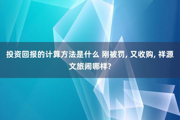 投资回报的计算方法是什么 刚被罚, 又收购, 祥源文旅闹哪样