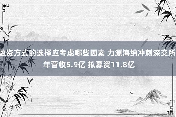 融资方式的选择应考虑哪些因素 力源海纳冲刺深交所: 年营收5.9亿 拟募资11.8亿