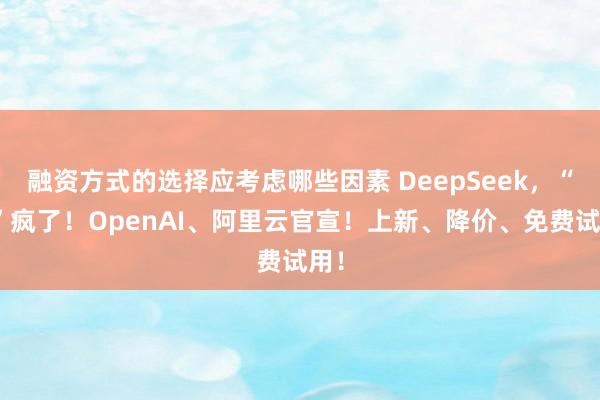 融资方式的选择应考虑哪些因素 DeepSeek，“卷”疯了！