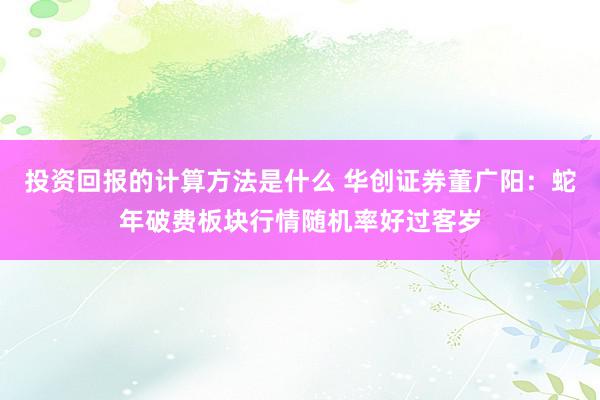 投资回报的计算方法是什么 华创证券董广阳：蛇年破费板块行情随