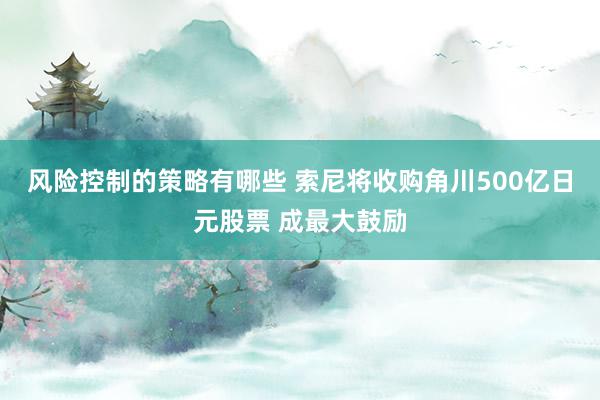 风险控制的策略有哪些 索尼将收购角川500亿日元股票 成最大鼓励