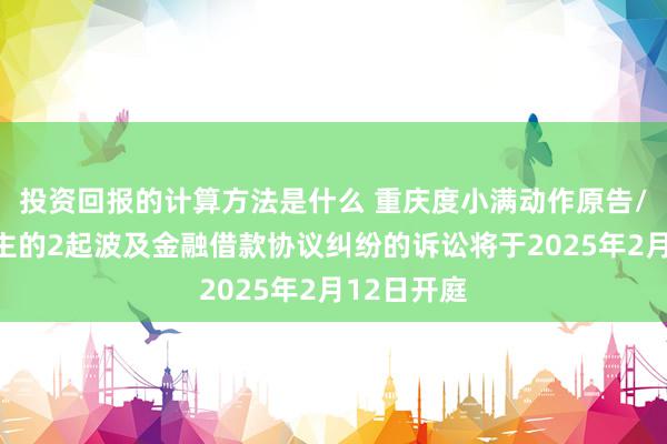 投资回报的计算方法是什么 重庆度小满动作原告/上诉东谈主的2起波及金融借款协议纠纷的诉讼将于2025年2月12日开庭