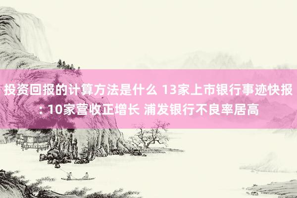 投资回报的计算方法是什么 13家上市银行事迹快报: 10家营收正增长 浦发银行不良率居高