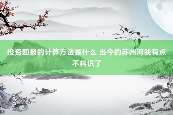 投资回报的计算方法是什么 当今的苏州河我有点不料识了