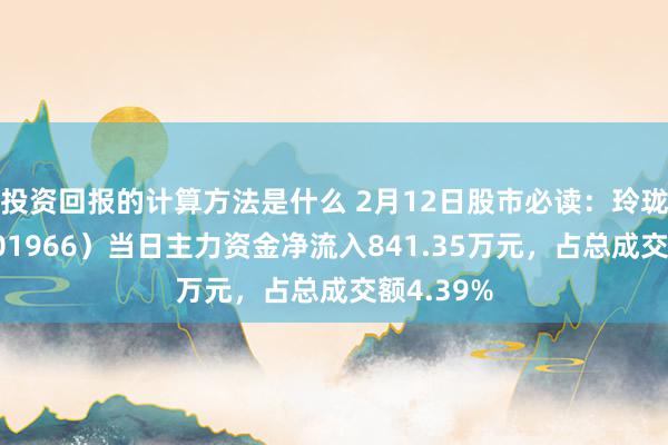 投资回报的计算方法是什么 2月12日股市必读：玲珑轮胎（601966）当日主力资金净流入841.35万元，占总成交额4.39%