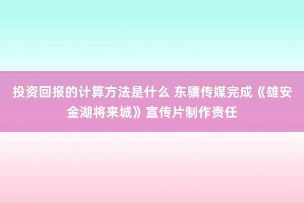 投资回报的计算方法是什么 东骥传媒完成《雄安金湖将来城》宣传片制作责任