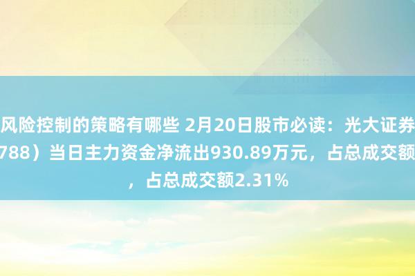 风险控制的策略有哪些 2月20日股市必读：光大证券（601788）当日主力资金净流出930.89万元，占总成交额2.31%