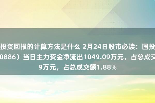 投资回报的计算方法是什么 2月24日股市必读：国投电力（600886）当日主力资金净流出1049.09万元，占总成交额1.88%