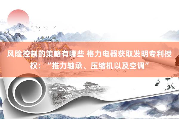 风险控制的策略有哪些 格力电器获取发明专利授权：“推力轴承、压缩机以及空调”