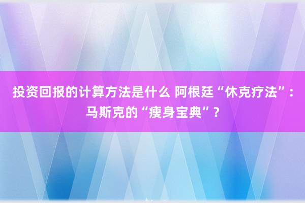 投资回报的计算方法是什么 阿根廷“休克疗法”：马斯克的“瘦身宝典”？