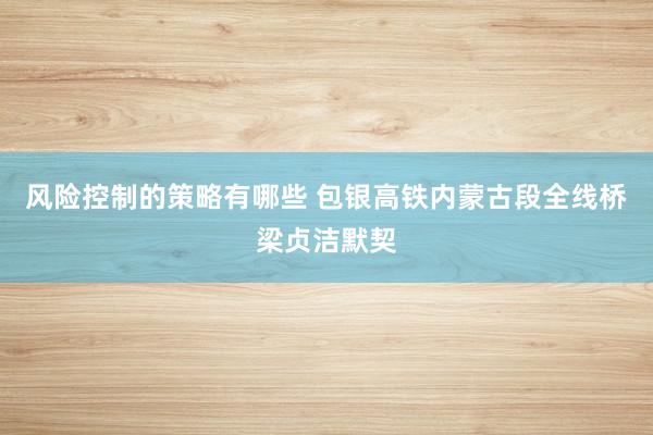 风险控制的策略有哪些 包银高铁内蒙古段全线桥梁贞洁默契