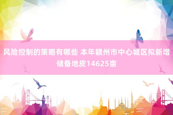 风险控制的策略有哪些 本年赣州市中心城区拟新增储备地皮146